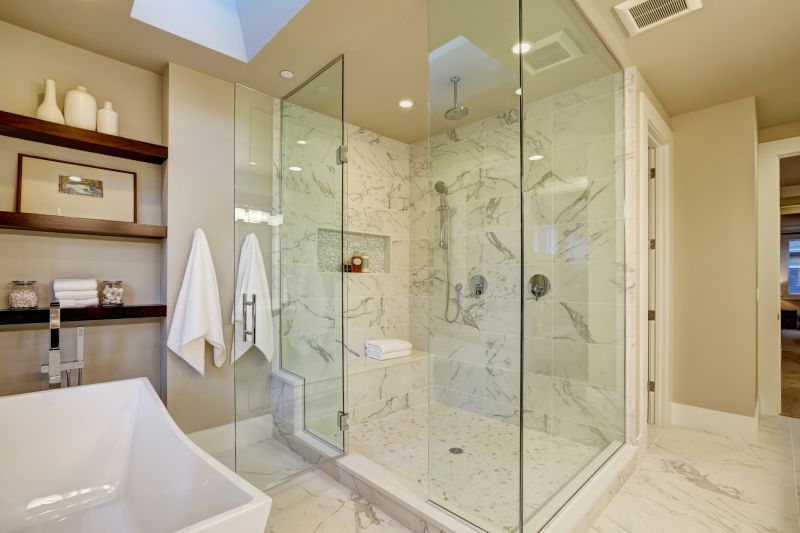 Luxury Shower with Niche